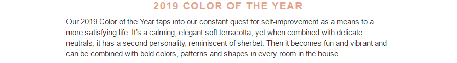 2019 COLOR OF THE YEAR