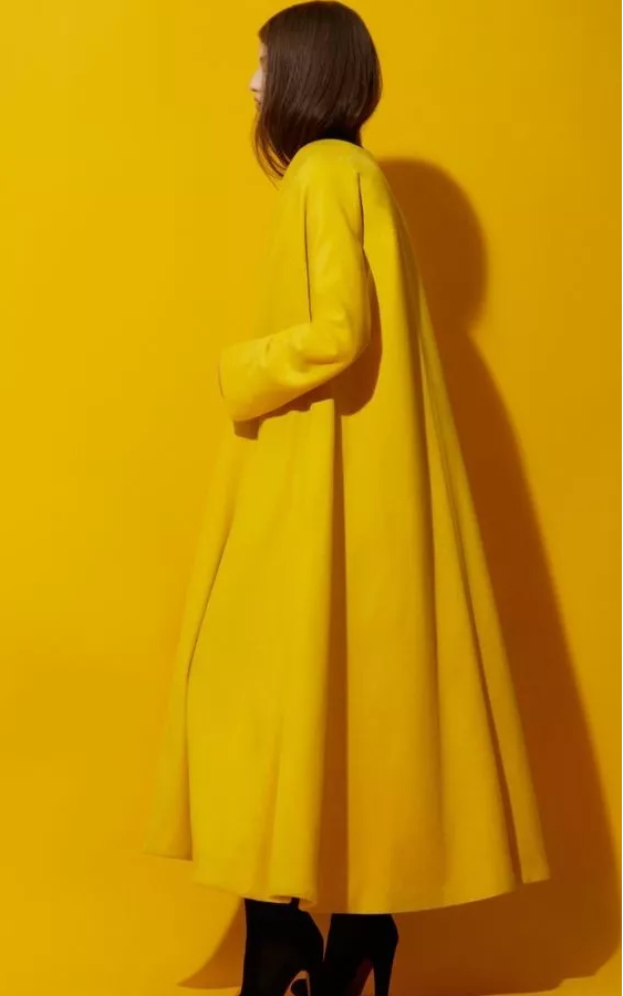 2020年fashion色彩-芥末黄